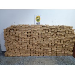 Policiais apreendem quase meia tonelada de maconha em Balsa Nova